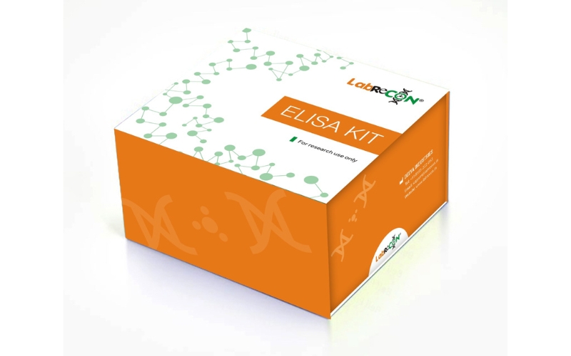 Lablisa® Mouse IFABP/FABP2(Intestinal Fatty Acid Binding Protein) ELISA Kit