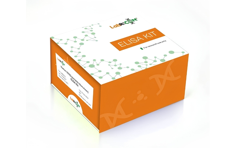 Lablisa® MF-Rat IL-3(Interleukin 3) ELISA Kit